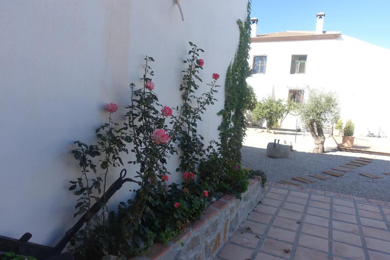 Galwey, Tourist Appartments With Wifi Malaga Zewnętrze zdjęcie